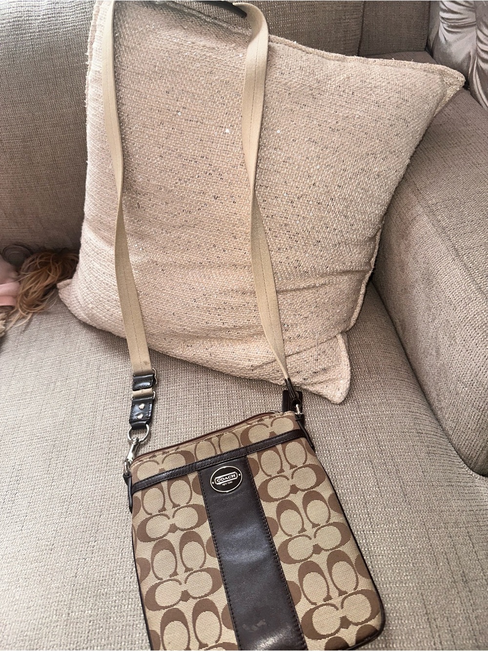 Coach Brown/Tan Signature Crossbody Bag
